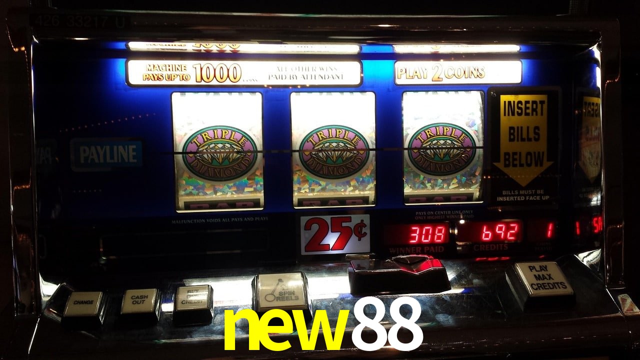 Sports Statistics new88